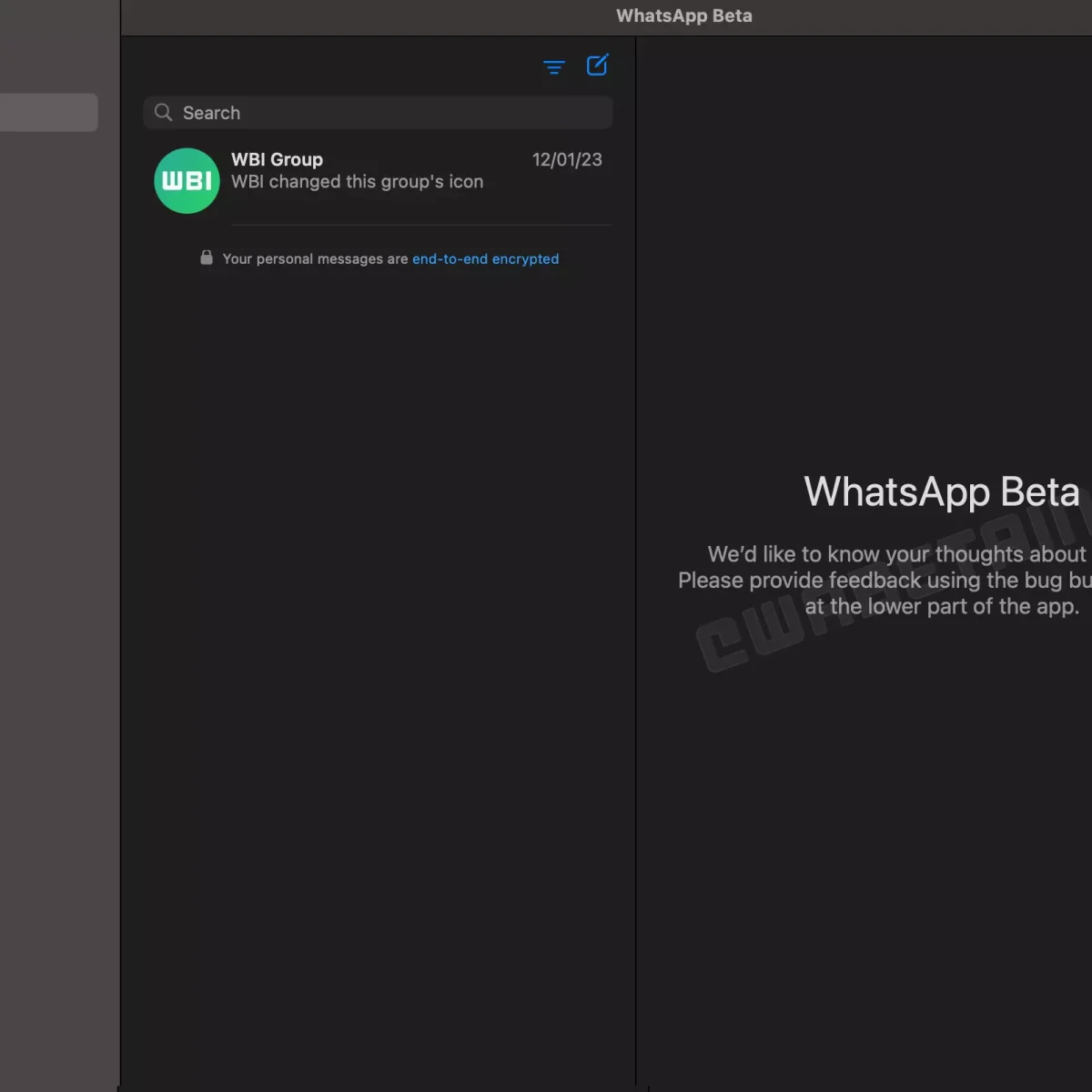 WhatsApp Native MacOS Beta App