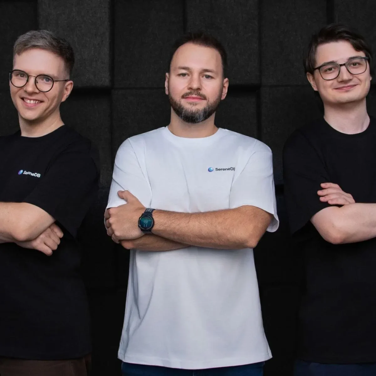 Search Analytics Database